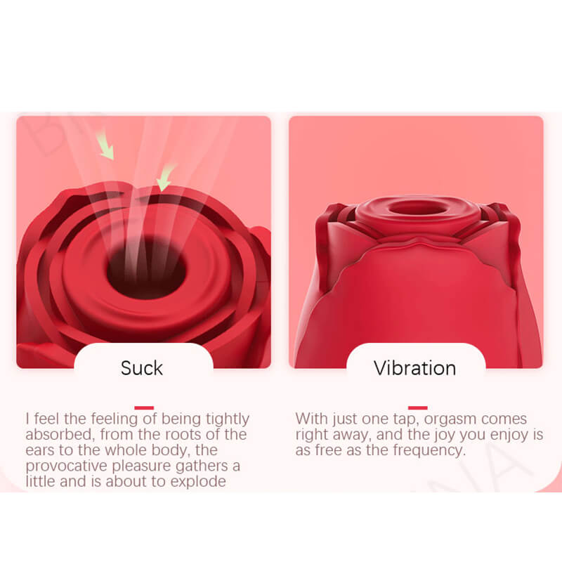 Rose Vibator Sicone Clitoris Sucker